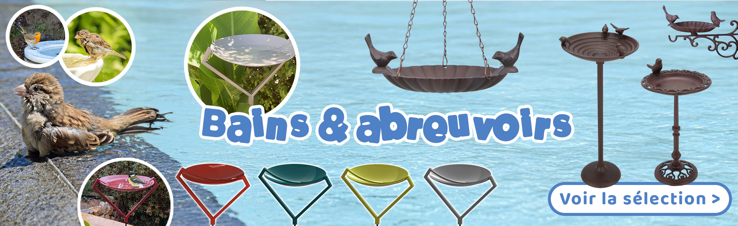 bains abrevoirs oiseaux été
