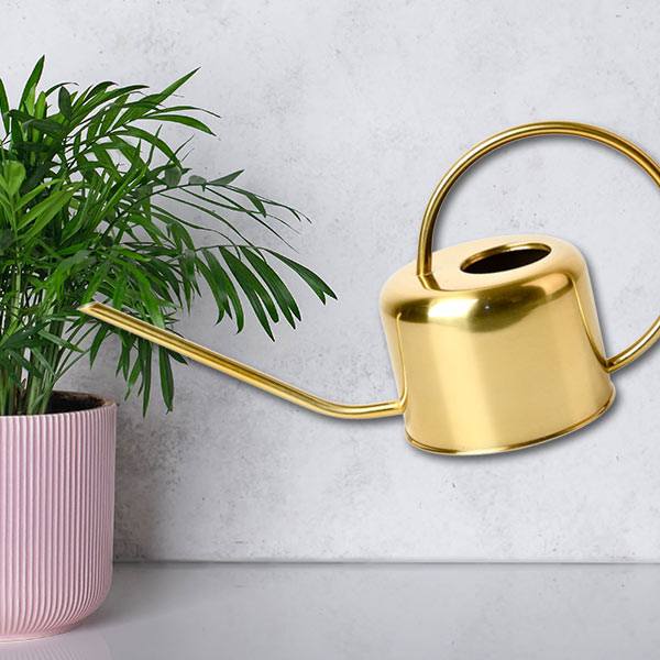 Arrosoir design vintage plante intérieur Iriso