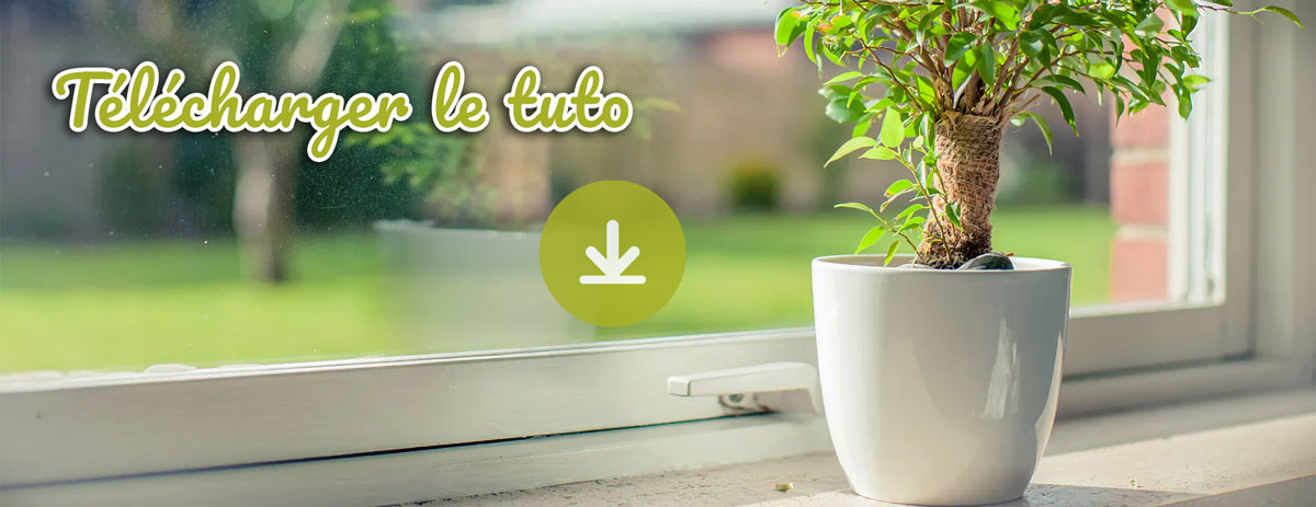 Tuto arrosage goutte à goutte Iriso