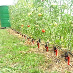 système irrigation potager Iriso