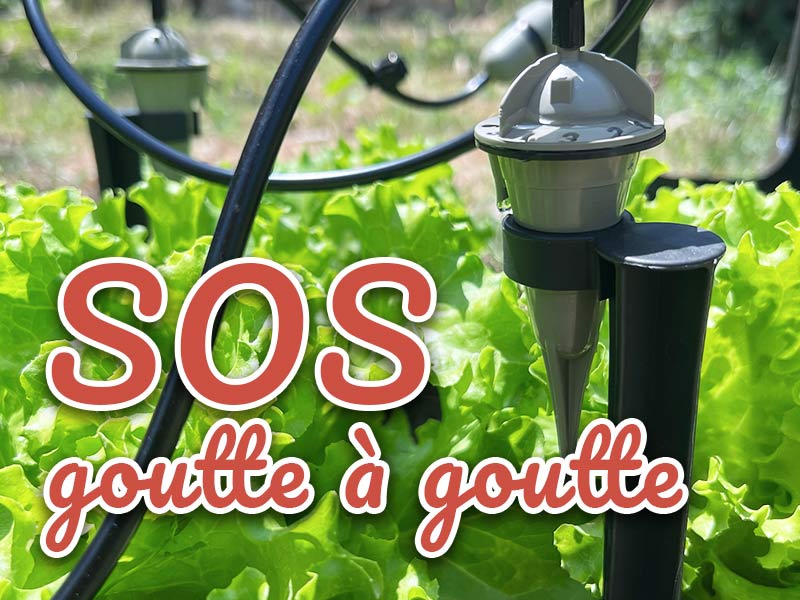 SOS entretient goutte à goutte
