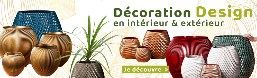 deco intérieur plantes pot