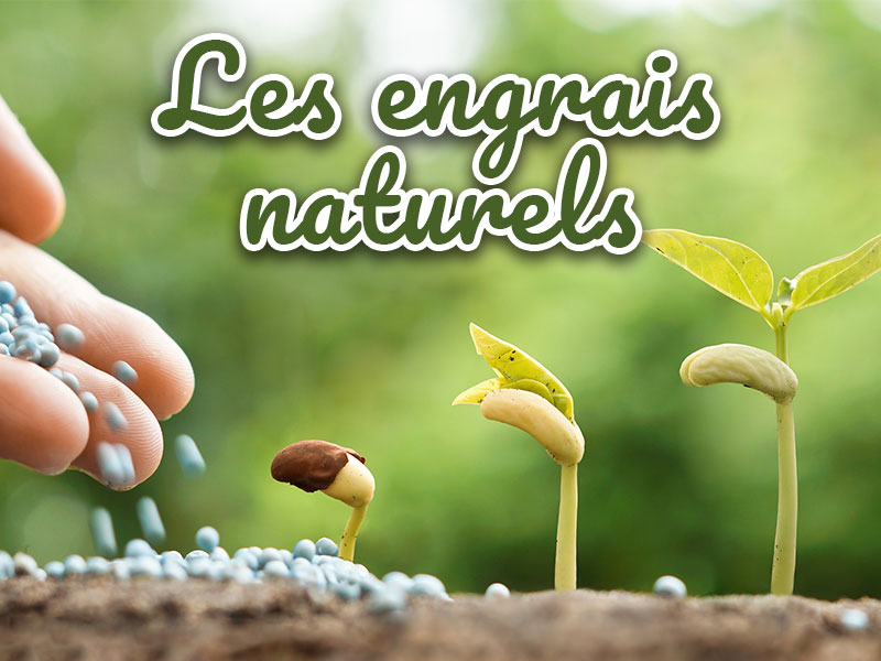 Guide des engrais naturel Bio Iriso