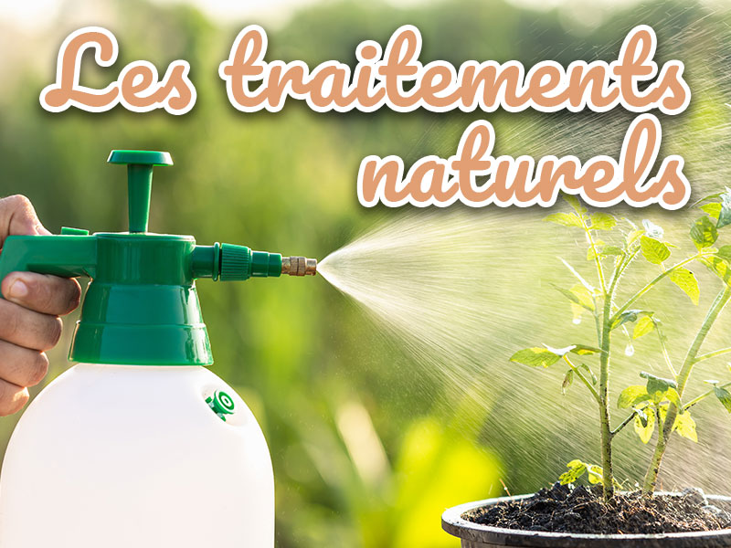 traitements naturel bio