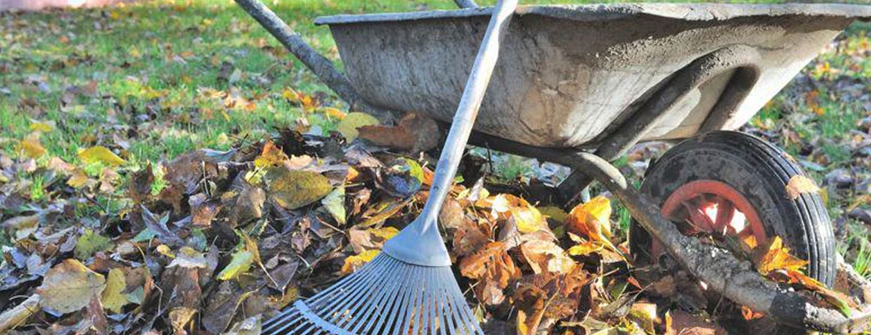 amender son jardin en hiver