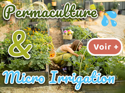 permaculture et irrigation lire l'article