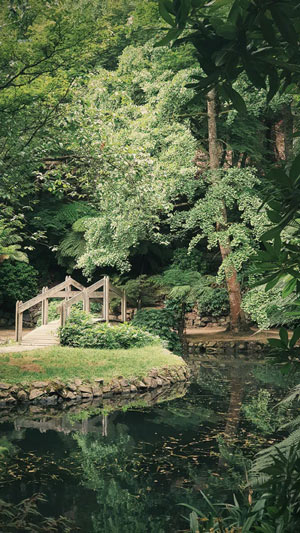 Les différents type de jardin