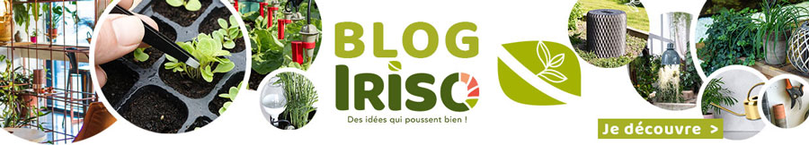 Les secret du jardinage Iriso