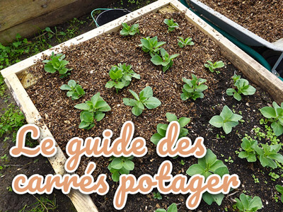 Le guide du carré potager - Iriso