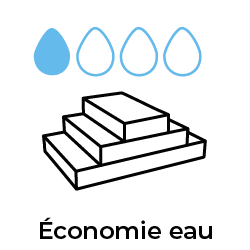 pyramide de fraises éconimie d'eau