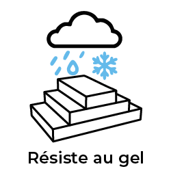 pyramide de fraises résistan au gel