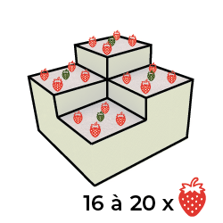 Implentation pyramide de fraises multi niveaux Iriso