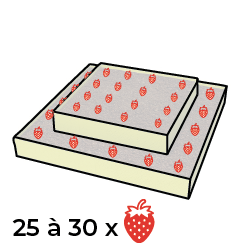 pyramide de fraises 2 étages Iriso