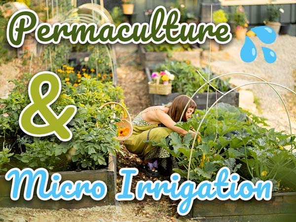 Permaculture et microirrigation