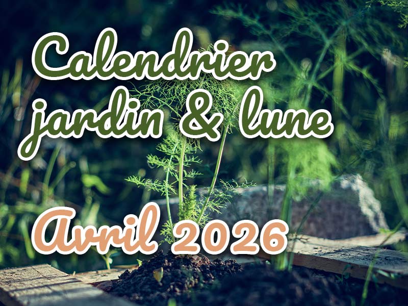 Calendrier lunaire 2026
