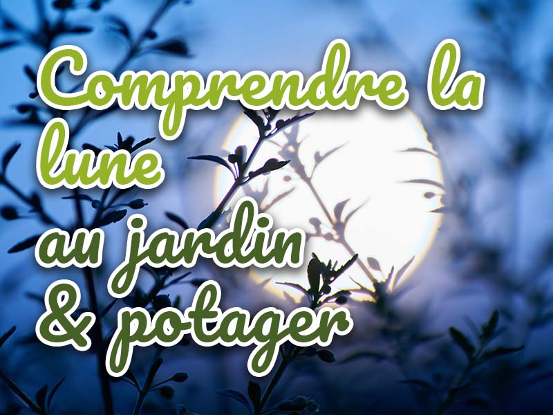 Comprendre la lune au jardin et potager
