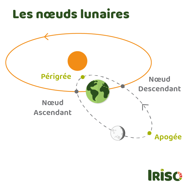 noeud de lune au jardin apogée Périgéé