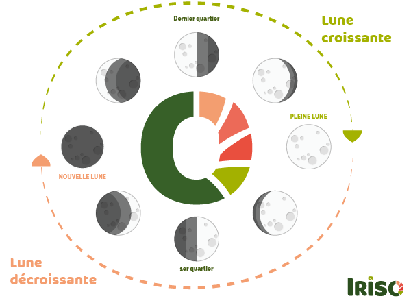 position lune jardin potager guide Iriso
