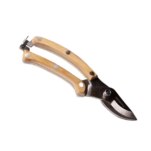 sécateur coupe jardin inox Iriso