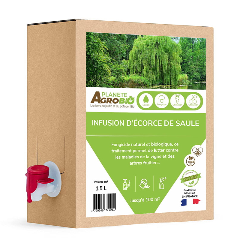 Infusion décoarse de Saule Bio pour jardin potager