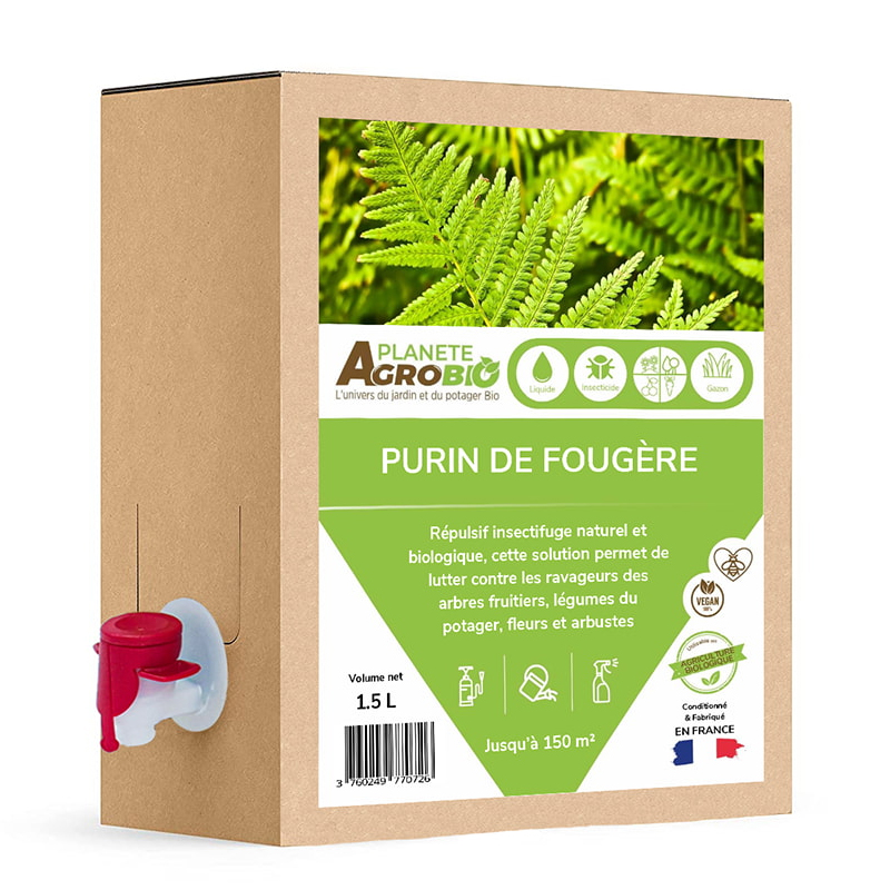 Purin de fougères