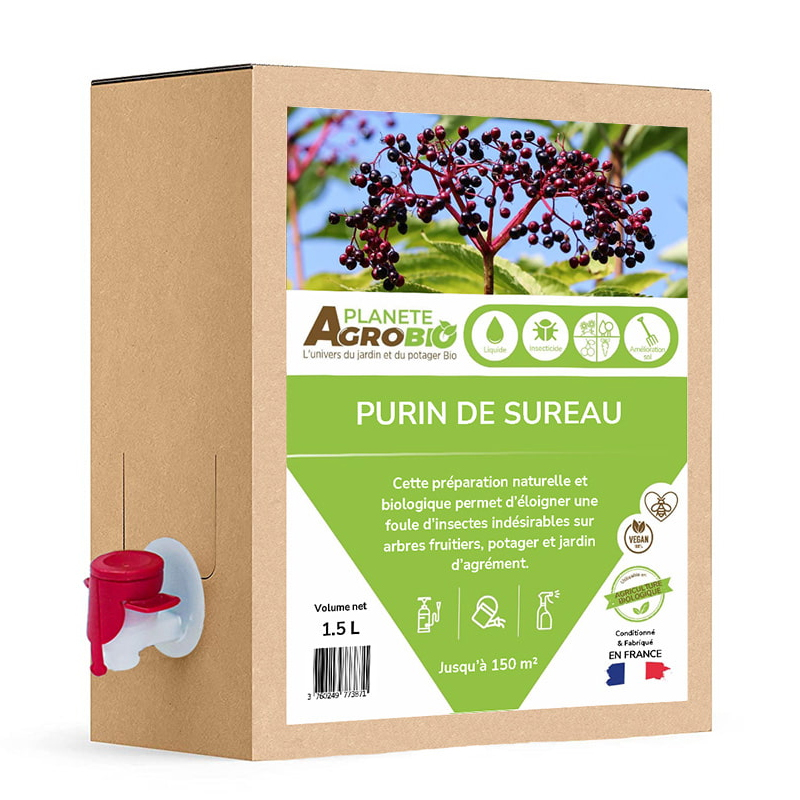 Purin de sureau bio