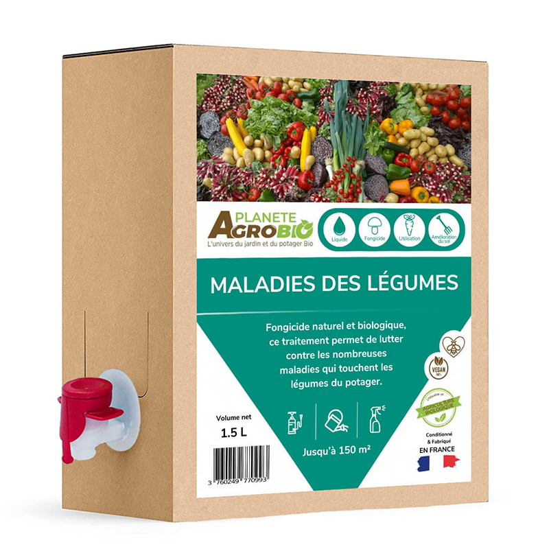 traitement bio maladies au potager