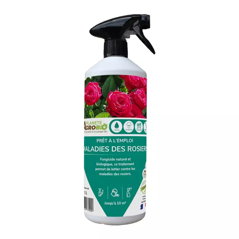 Traitement bio maladie rosiers