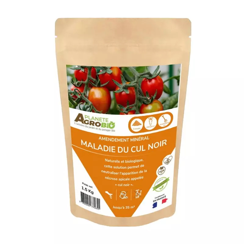 maladie tomates cul noir traitement bio