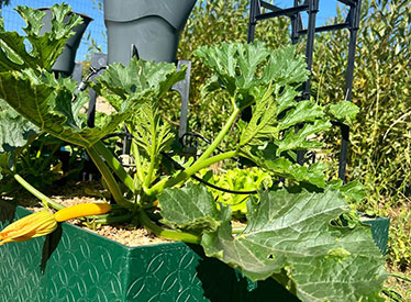 Tous les produits pour le jardinage Iriso