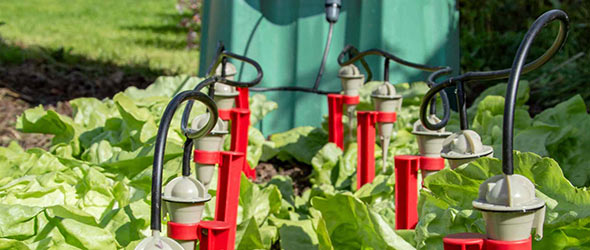 La promotion du moment chez Iriso