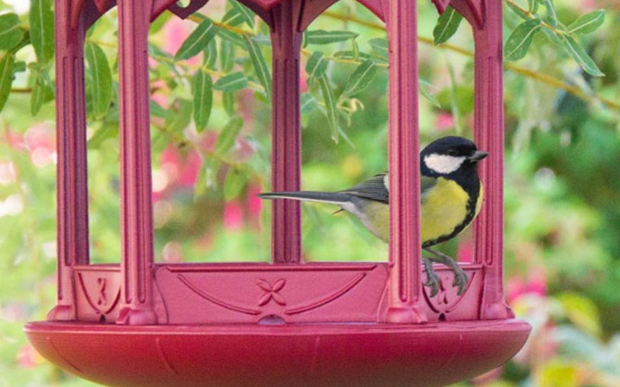 Tous les produits pours les animaux au jardin