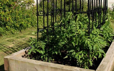 Tous les produits pour le jardinage Iriso