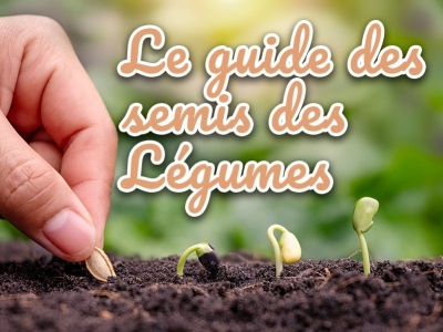 Semis des légumes du potager:  février - mars - avril - Le guide complet