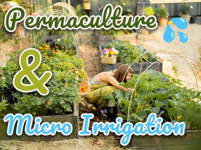 Permaculture et arrosage goutte à goutte : une alliance pour économiser l'eau