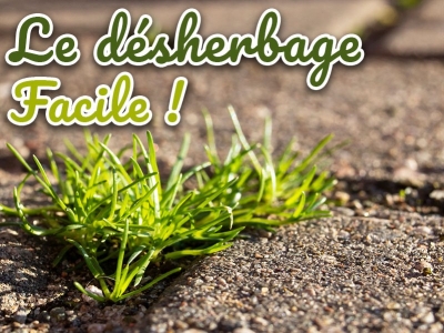 Désherber son jardin naturellement : conseils et astuces efficaces