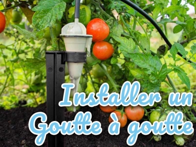 Installer son système goutte à goutte Iriso facilement