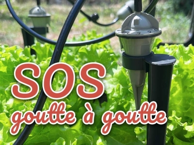 Goutte à goutte bouché et ne coule plus - Que faire ? Tutos - Entretien