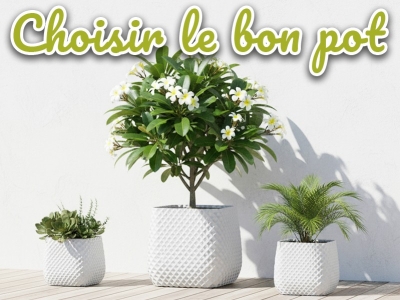 Comment bien choisir un pot de fleur : guide expert pour vos plantes
