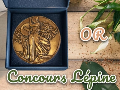 Iriso, médaille d’or au Concours Lépine 2001 : l’innovation vendéenne récompensé