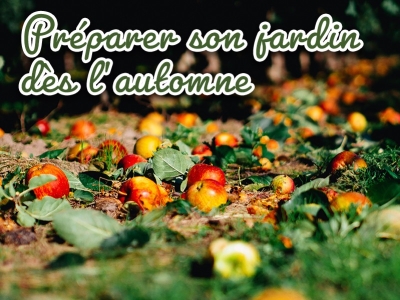 Préparer son potager en automne pour l'année prochaine ?