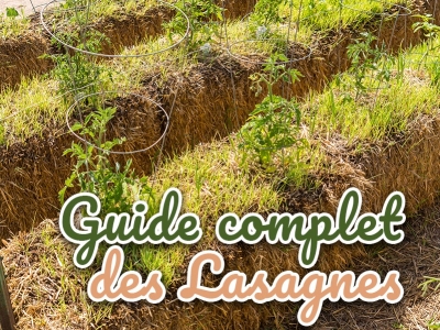 Culture en lasagne au potager : guide complet débutants & jardiniers avertis