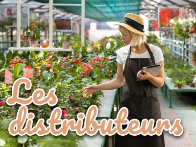 Iriso présent chez les grandes enseignes de la distribution du jardin et la déco