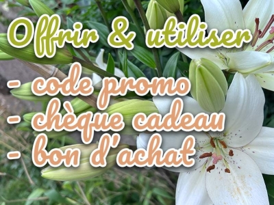 Comment utiliser chèque cadeau et code promo Iriso ?