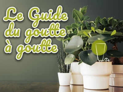 Le guide de l’arrosage goutte à goutte (micro-irrigation)