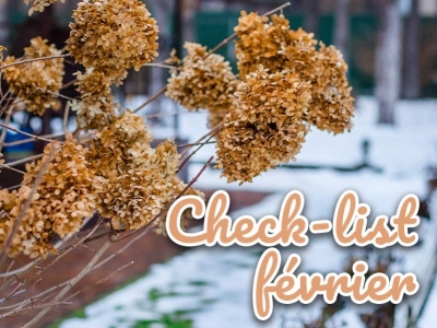 Que faire au jardin en février ? L' essentiels pour préparer le printemps