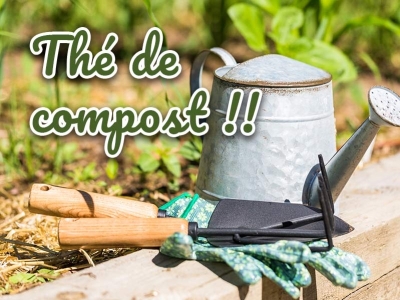 Le thé de compost - Guide complet & utilisation