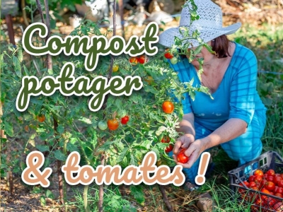 Comment utiliser le compost au potager : guide expert pour tomates et légumes