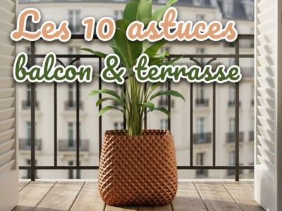 Terrasse, balcon, jardin : 10 idées pour végétaliser avec pots de toutes tailles