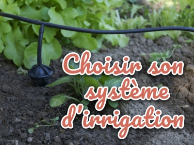 Comment bien choisir son système d’irrigation ?